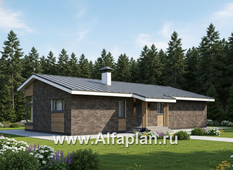 «Алладин» - проект одноэтажного дома, мастер спальня, с террасой и красивым потолком гостиной со стропилами - превью дополнительного изображения №3