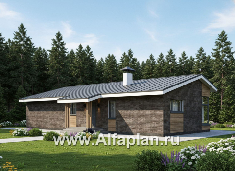 «Алладин» - проект одноэтажного дома, мастер спальня, с террасой и красивым потолком гостиной со стропилами - превью дополнительного изображения №3